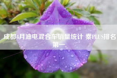 成都4月油电混合车销量统计 秦PLUS排名第一,