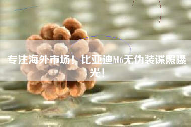 专注海外市场！比亚迪M6无伪装谍照曝光！