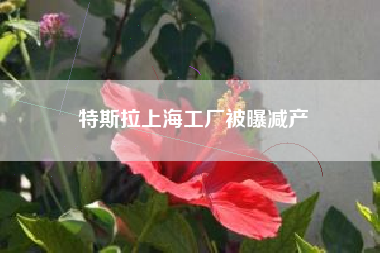 特斯拉上海工厂被曝减产