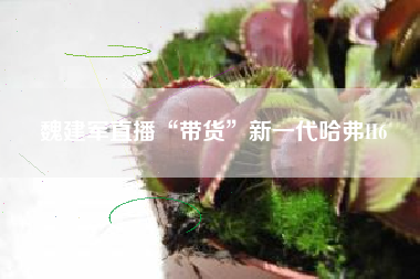 魏建军直播“带货”新一代哈弗H6