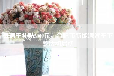 每辆车补贴5000元，合肥市新能源汽车下乡活动启动