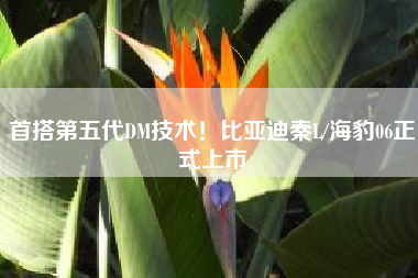 首搭第五代DM技术！比亚迪秦L/海豹06正式上市