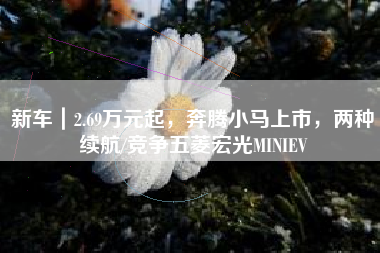 新车｜2.69万元起，奔腾小马上市，两种续航/竞争五菱宏光MINIEV