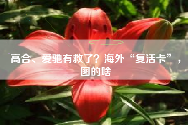高合、爱驰有救了？海外“复活卡”，图的啥