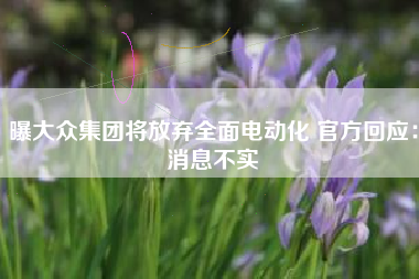 曝大众集团将放弃全面电动化 官方回应：消息不实