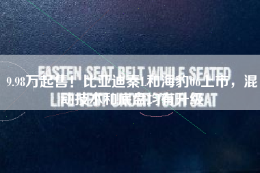 9.98万起售！比亚迪秦L和海豹06上市，混动技术和底盘均有升级