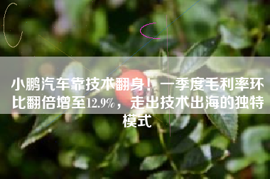 小鹏汽车靠技术翻身！一季度毛利率环比翻倍增至12.9%，走出技术出海的独特模式