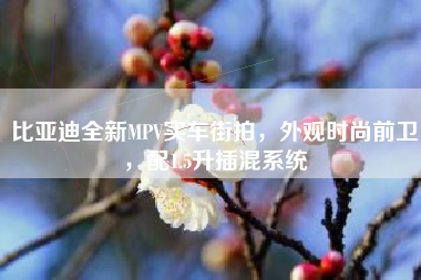 比亚迪全新MPV实车街拍，外观时尚前卫，配1.5升插混系统
