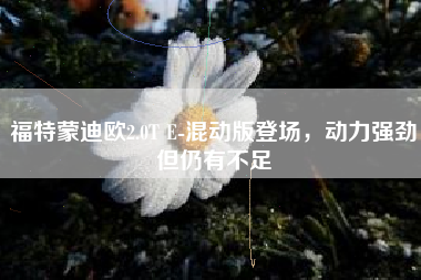 福特蒙迪欧2.0T E-混动版登场，动力强劲但仍有不足