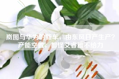岚图与华为的新车，由东风日产生产？产能空置，都怪艾睿雅不给力