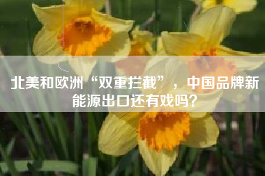 北美和欧洲“双重拦截”，中国品牌新能源出口还有戏吗？