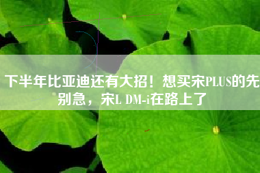 下半年比亚迪还有大招！想买宋PLUS的先别急，宋L DM-i在路上了