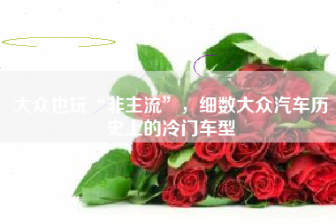 大众也玩“非主流”，细数大众汽车历史上的冷门车型