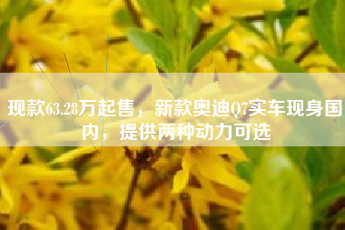 现款63.28万起售，新款奥迪Q7实车现身国内，提供两种动力可选
