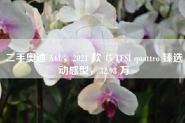 二手奥迪 A6L，2021 款 45 TFSI quattro 臻选动感型，32.98 万