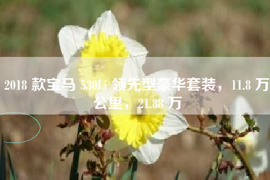 2018 款宝马 530Li 领先型豪华套装，11.8 万公里，21.88 万