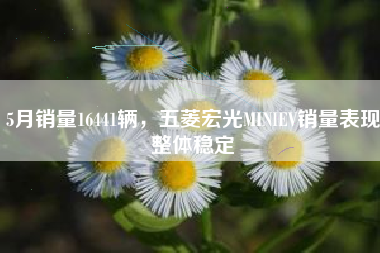 5月销量16441辆，五菱宏光MINIEV销量表现整体稳定