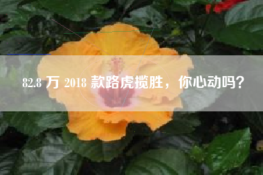 82.8 万 2018 款路虎揽胜，你心动吗？