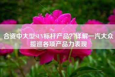 合资中大型SUV标杆产品？详解一汽大众揽巡各项产品力表现