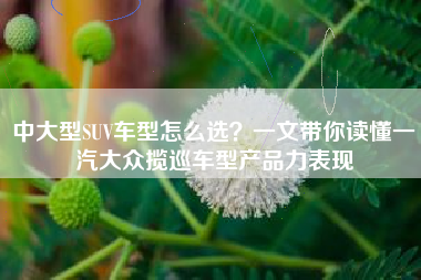 中大型SUV车型怎么选？一文带你读懂一汽大众揽巡车型产品力表现