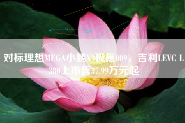 对标理想MEGA小鹏X9极氪009，吉利LEVC L380上市售37.99万元起