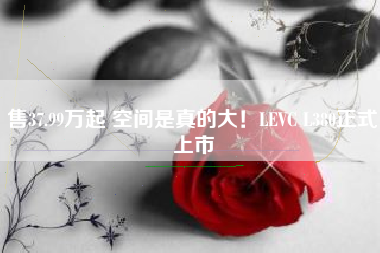 售37.99万起 空间是真的大！LEVC L380正式上市