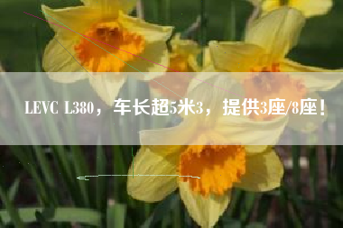LEVC L380，车长超5米3，提供3座/8座！