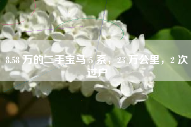 8.58 万的二手宝马 5 系，23 万公里，2 次过户