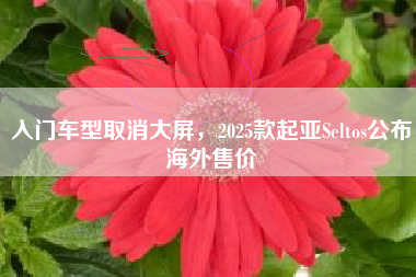 入门车型取消大屏，2025款起亚Seltos公布海外售价