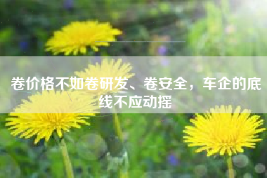 卷价格不如卷研发、卷安全，车企的底线不应动摇