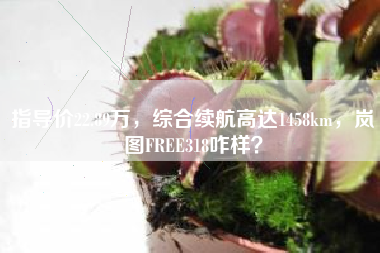 指导价22.89万，综合续航高达1458km，岚图FREE318咋样？