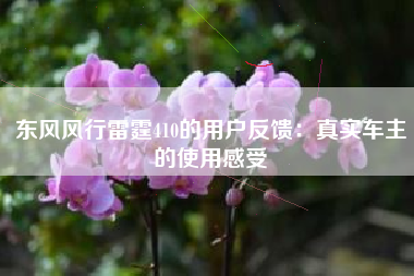 东风风行雷霆410的用户反馈：真实车主的使用感受