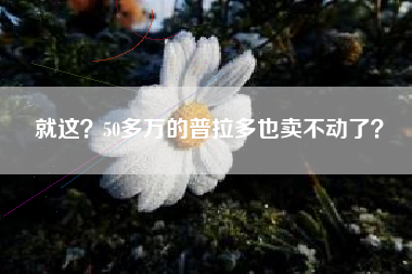 就这？50多万的普拉多也卖不动了？