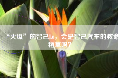 “火爆”的智己L6，会是智己汽车的救命稻草吗？