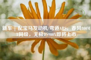 新车 | 配宝马发动机/弯道ABS，春风800MT同级，无极DS900X即将上市