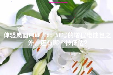 体验岚图FREE 318：XL号的增程电池包之外，还有哪些被低估？