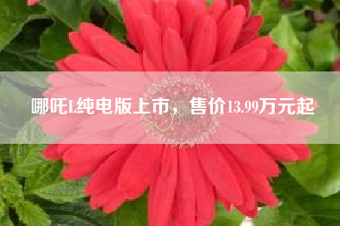 哪吒L纯电版上市，售价13.99万元起