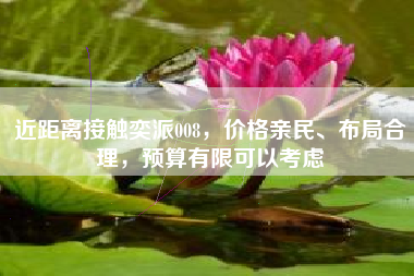 近距离接触奕派008，价格亲民、布局合理，预算有限可以考虑
