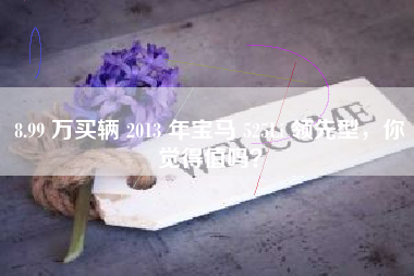 8.99 万买辆 2013 年宝马 525Li 领先型，你觉得值吗？