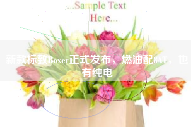 新款标致Boxer正式发布，燃油配8AT，也有纯电