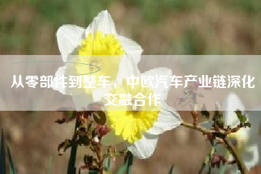 从零部件到整车，中欧汽车产业链深化交融合作