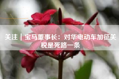 关注｜宝马董事长：对华电动车加征关税是死路一条