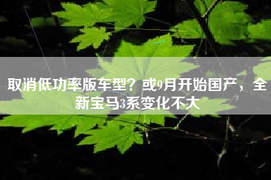 取消低功率版车型？或9月开始国产，全新宝马3系变化不大