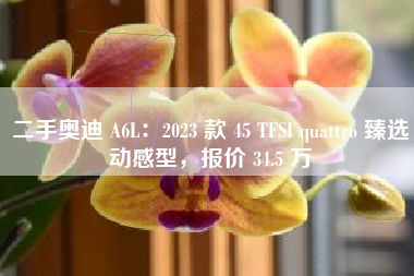 二手奥迪 A6L：2023 款 45 TFSI quattro 臻选动感型，报价 34.5 万