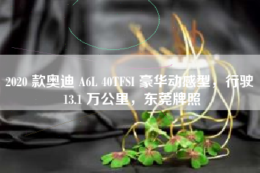 2020 款奥迪 A6L 40TFSI 豪华动感型，行驶 13.1 万公里，东莞牌照