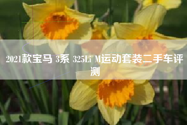 2021款宝马 3系 325Li M运动套装二手车评测