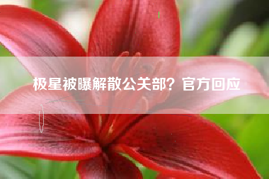 极星被曝解散公关部？官方回应