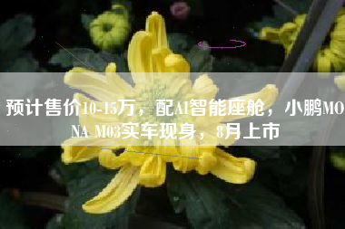 预计售价10-15万，配AI智能座舱，小鹏MONA M03实车现身，8月上市
