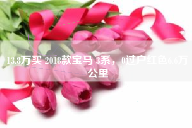 13.8万买 2018款宝马 3系，0过户红色6.6万公里