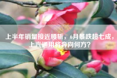 上半年销量接近腰斩，6月暴跌超七成，上汽通用将奔向何方？